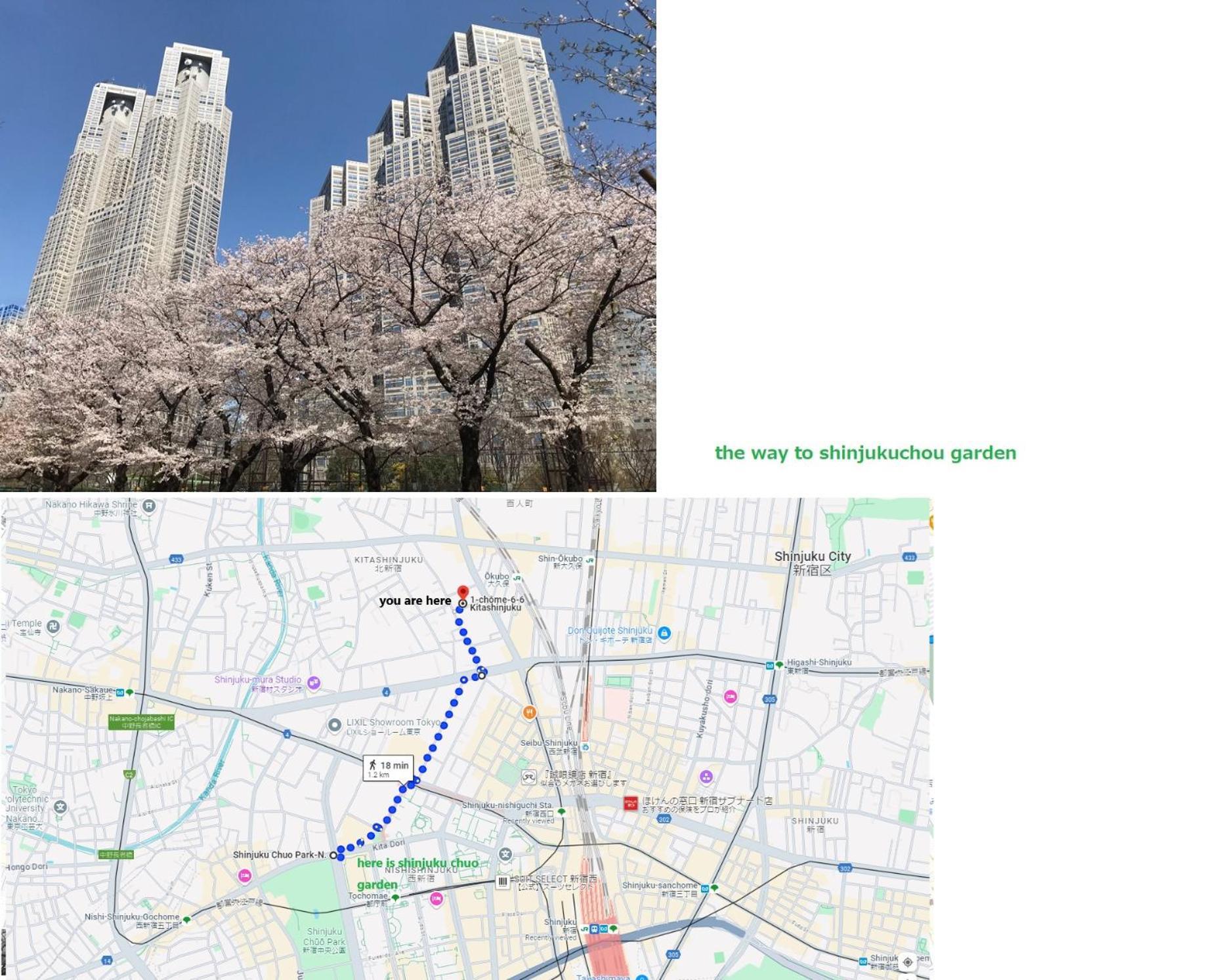 大久保駅から４分、貸切、韓国ダウン至近、新宿/歌舞伎町に徒歩圏内 、단독사용민박 Prefektura Tokio Exteriér fotografie